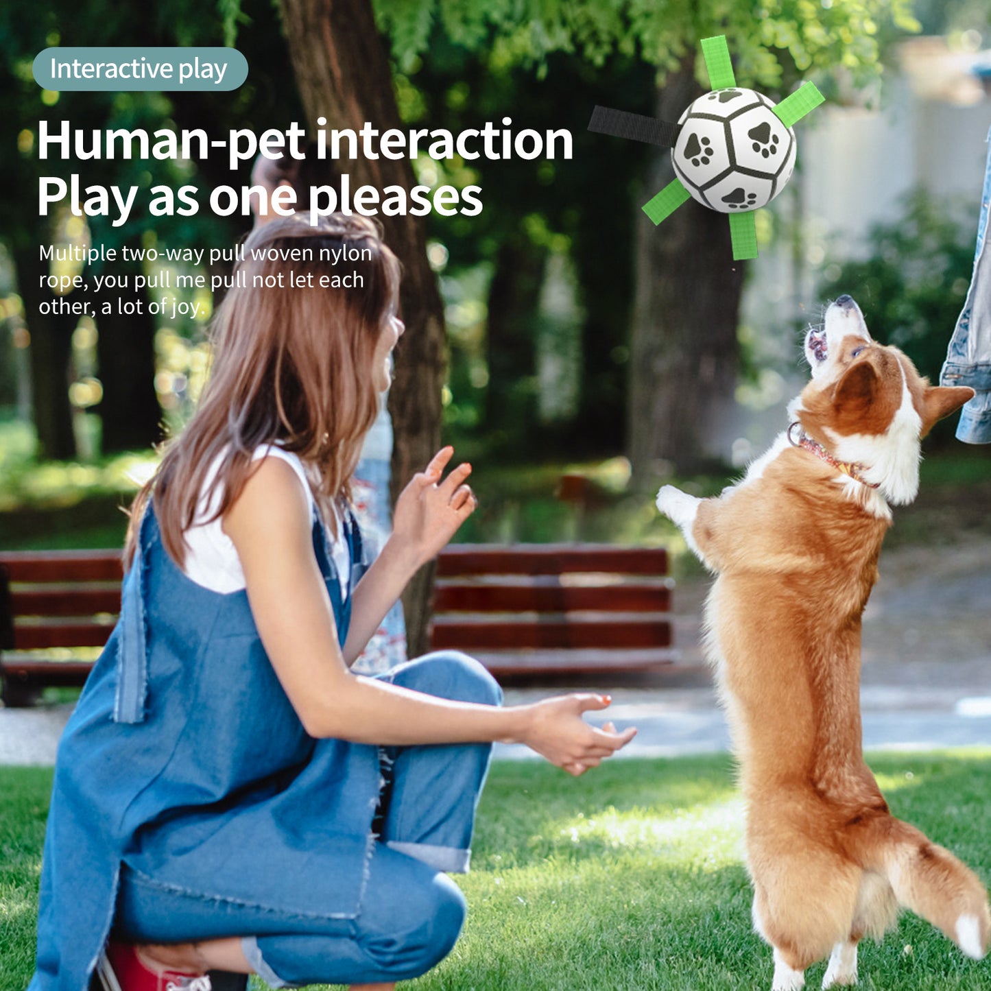 Pet Strap Football Toy